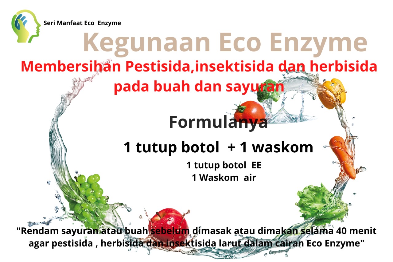 Manfaat Eco Enzyme Sai Study Group Indonesia